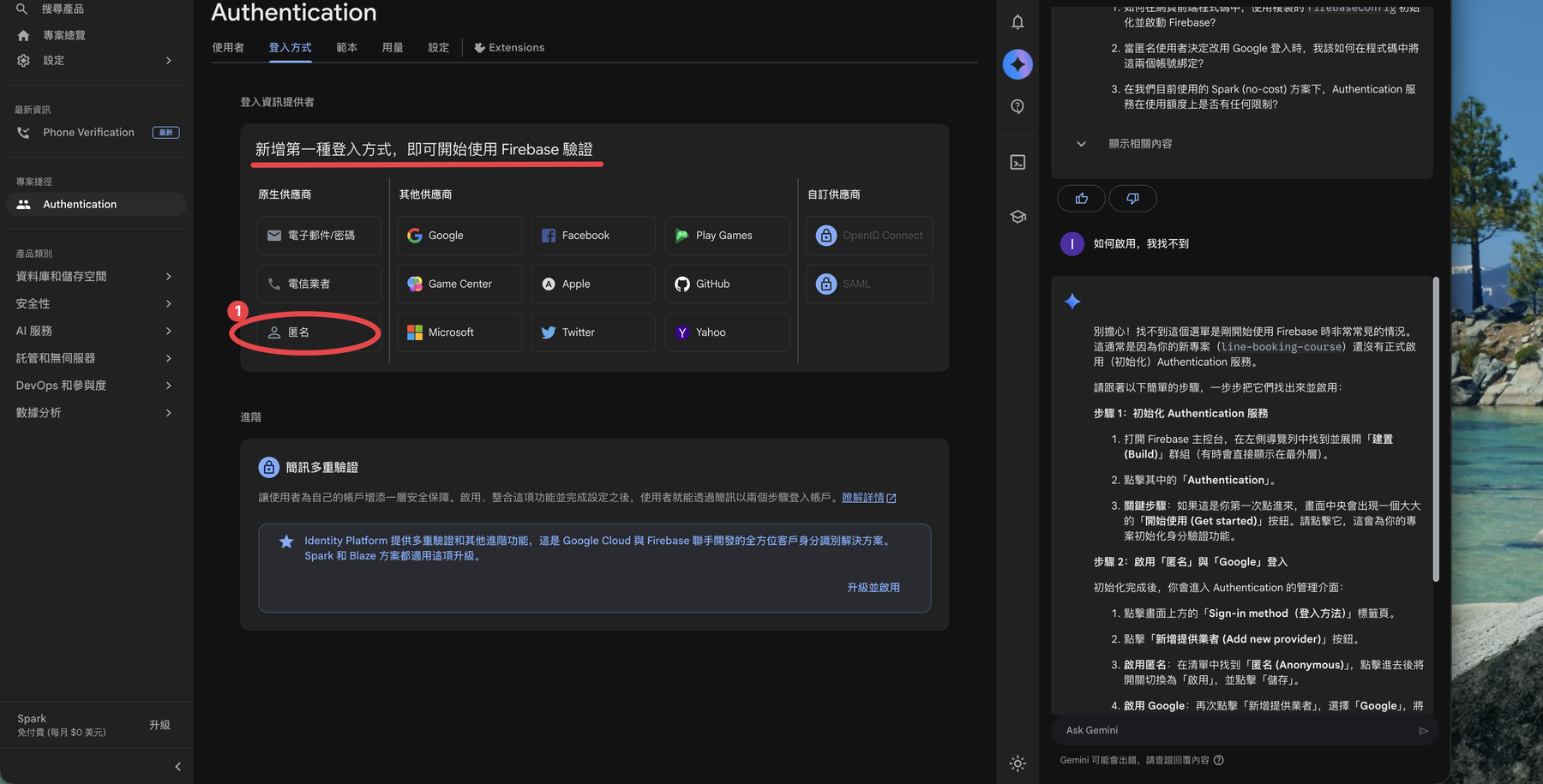 Authentication 登入方式列表,選擇 Google