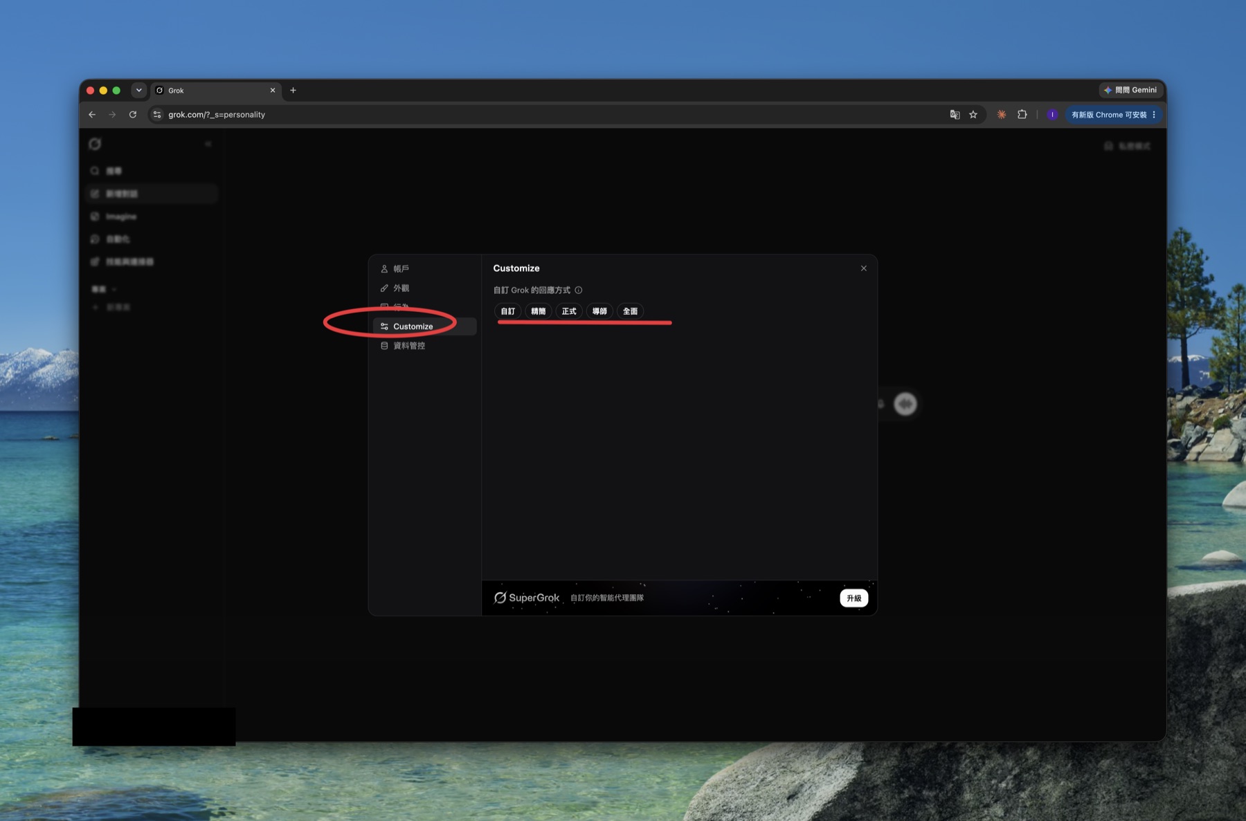 Grok 設定的 Customize 分頁